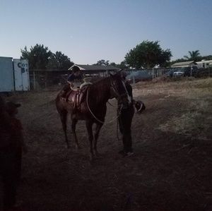 Meet your Posher, Omar